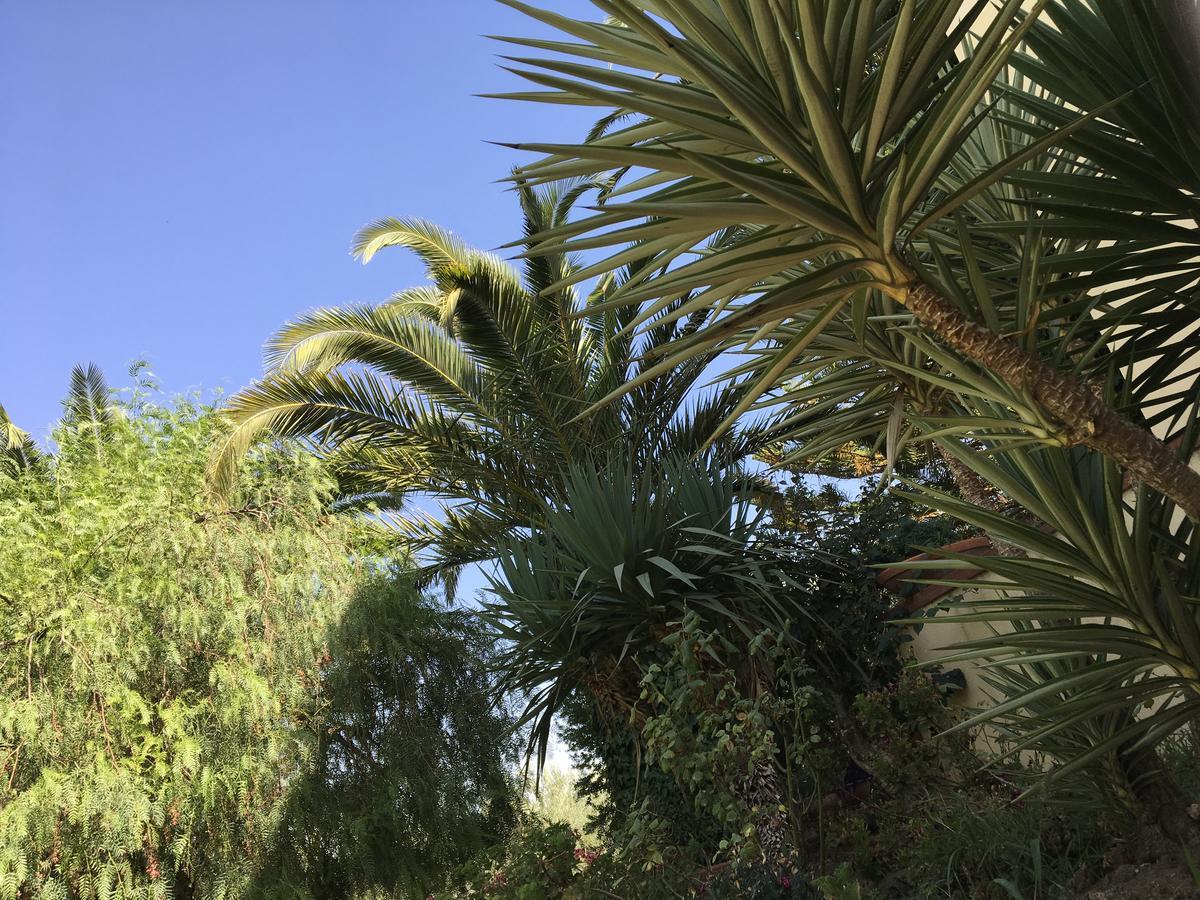 Poggio Delle Palme Campobello di Licata Exterior foto