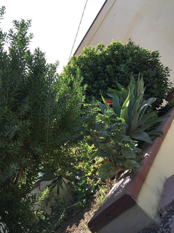 Poggio Delle Palme Campobello di Licata Exterior foto